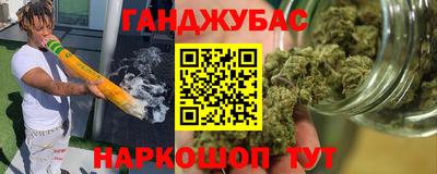 гидра Свободный